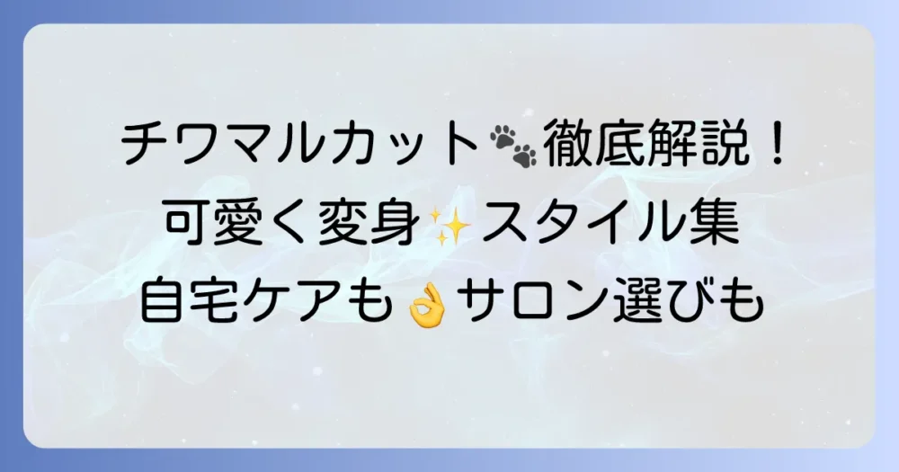 かわいいチワマルカットスタイルを徹底解説！自宅ケアとサロン選びのコツ