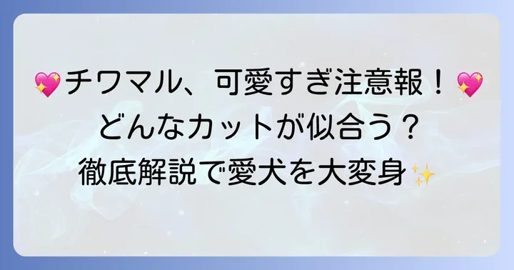 かわいいチワマルカットスタイルで愛犬をもっと魅力的に！