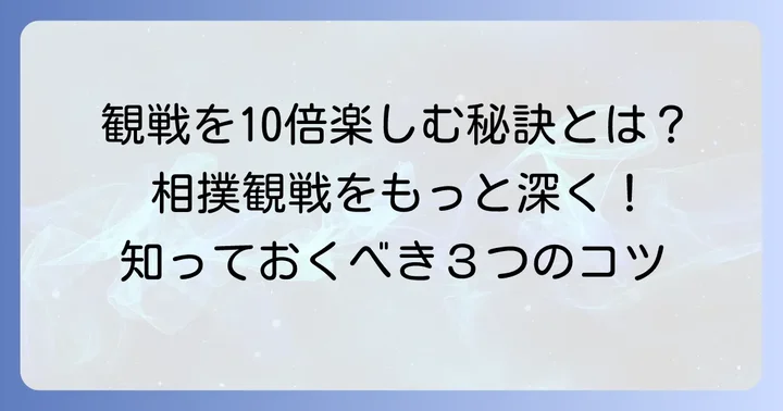 相撲観戦をさらに楽しむコツ