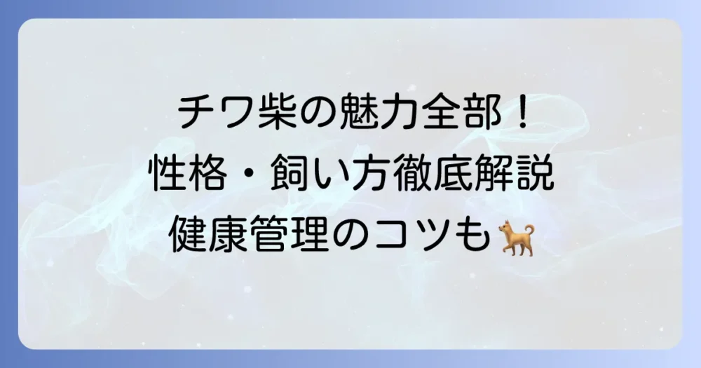 チワ柴成犬の性格と飼い方を徹底解説！魅力と健康管理のコツ