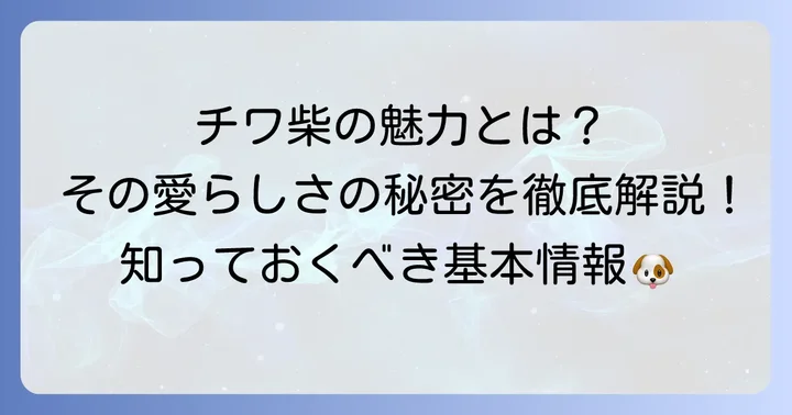 チワ柴成犬とは？その魅力と基本情報