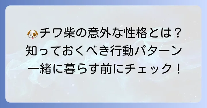 チワ柴成犬の性格と行動パターンを理解する