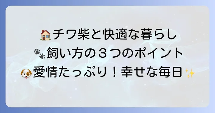チワ柴成犬との快適な暮らし！飼い方のポイント