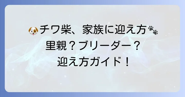 チワ柴成犬を家族に迎えるには？