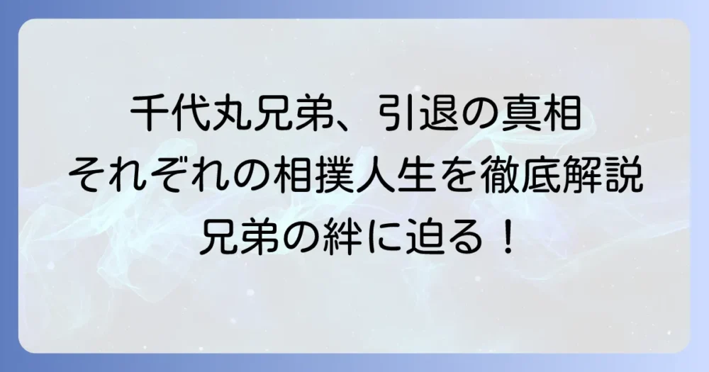 千代丸兄弟の引退の真相と、それぞれの相撲人生を徹底解説