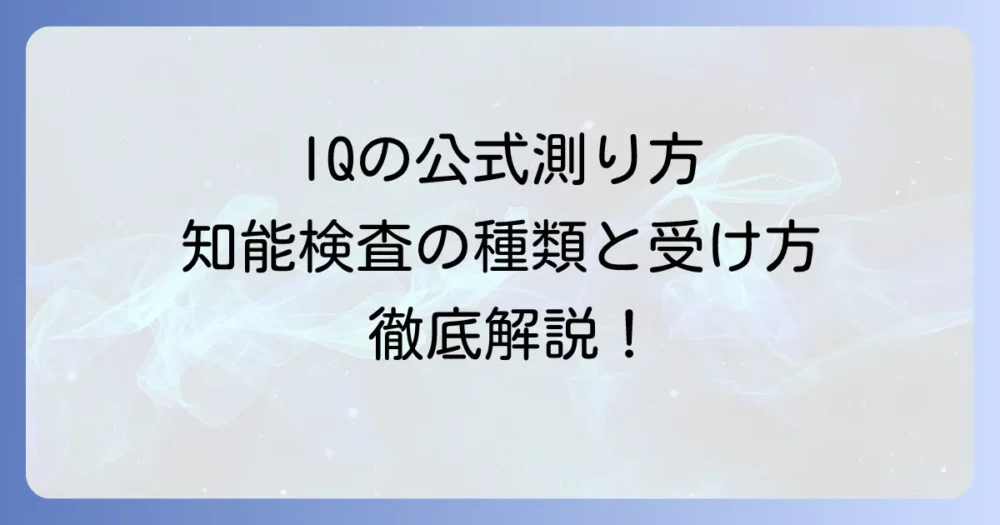IQの公式な測り方を徹底解説！知能検査の種類と受け方