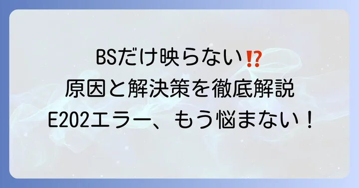 なぜBSだけ映らない？E202エラーの基本的な意味