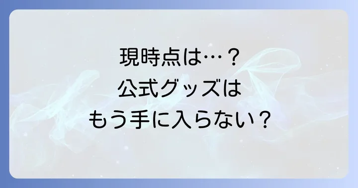 現在チチカカで『リメンバー・ミー』公式グッズは手に入る？