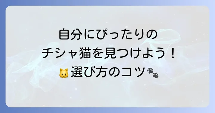 チシャ猫マフラーキャップの選び方：自分にぴったりの一枚を見つけるコツ