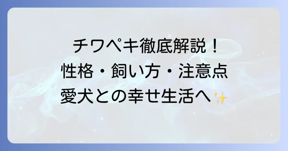 チワペキ成犬の性格や特徴、適切な飼い方と健康管理を徹底解説