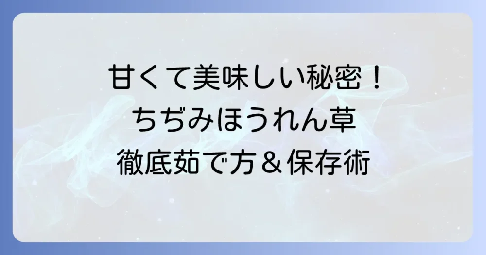 ちぢみほうれん草の美味しい茹で方徹底解説!甘みを引き出す下処理と保存方法