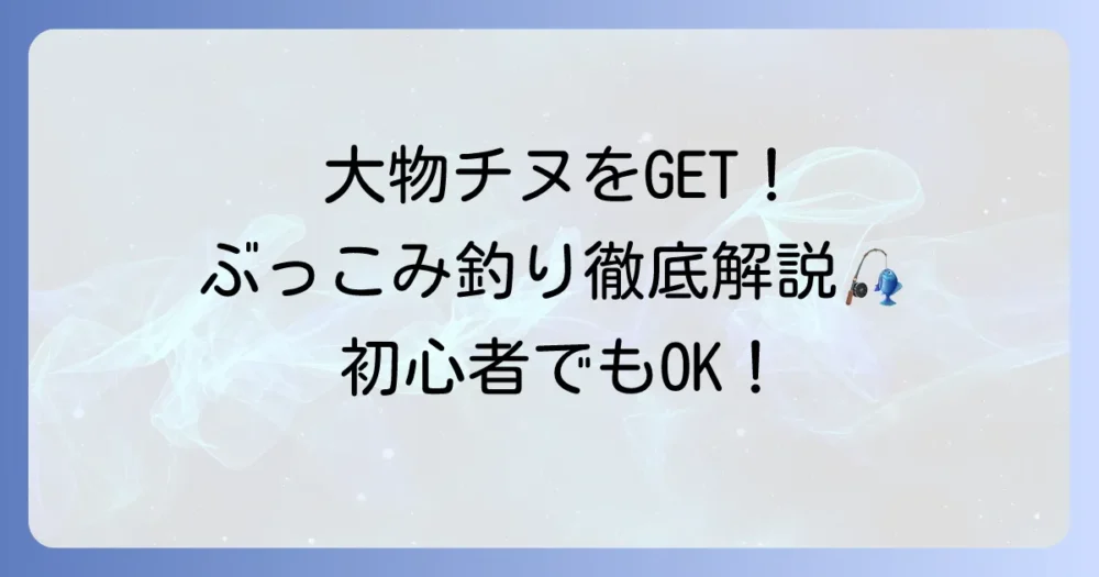 黒鯛ぶっこみ釣り仕掛けを徹底解説！初心者でも大物を狙える基本とコツ