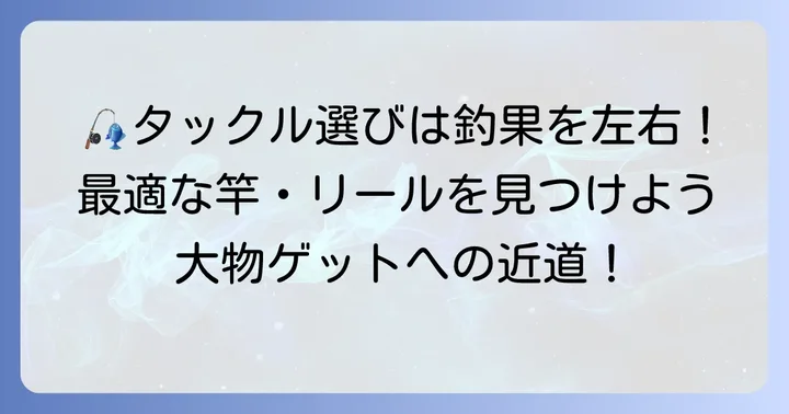 黒鯛ぶっこみ釣りに適したタックル選び