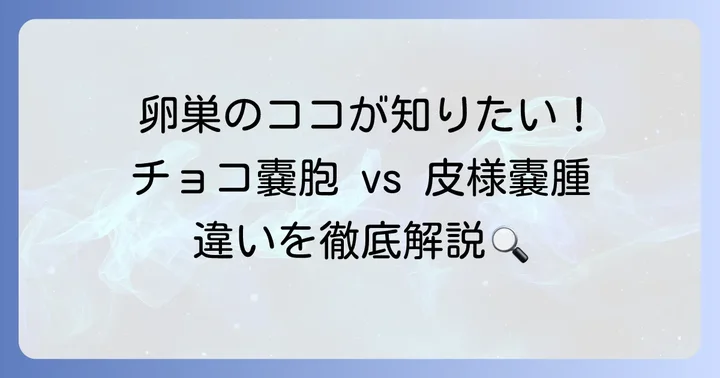チョコレート嚢胞と皮様嚢腫（奇形腫）の根本的な違いを理解する
