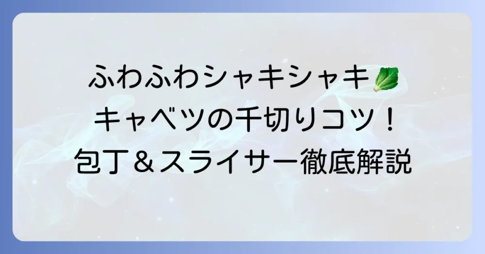 キャベツの千切りをふわふわシャキシャキにするコツ！包丁とスライサーの切り方から保存まで徹底解説