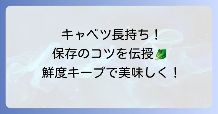 千切りキャベツの保存方法と日持ち