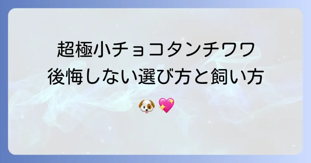 超超極小チワワチョコタン販売で後悔しないための選び方と飼い方