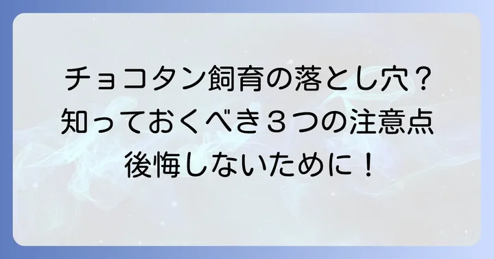超超極小チワワチョコタンをお迎えする前に知るべきこと