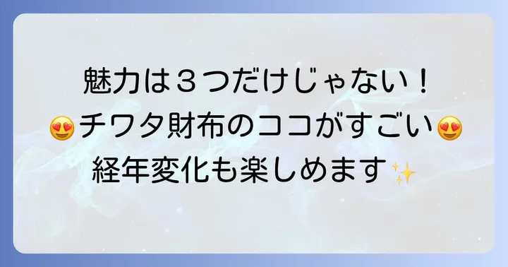 チワタ財布のここがすごい!3つの魅力