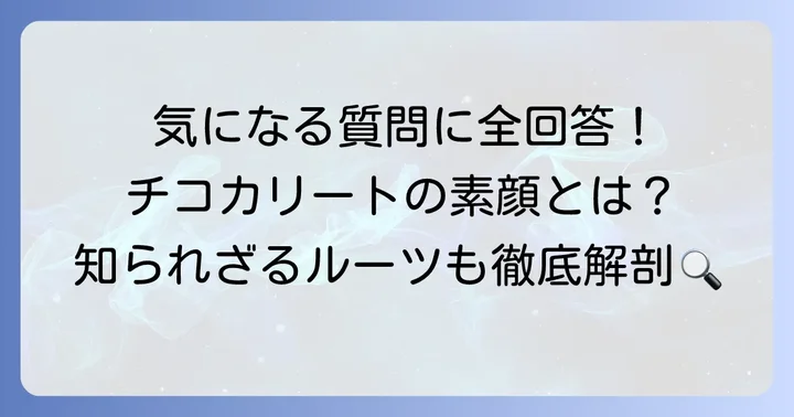 チコカリートに関するよくある質問