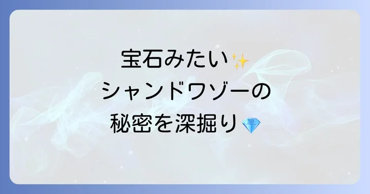 シャンドワゾーチョコレートの魅力とは?値段以上の価値を深掘り