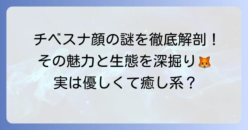 チベスナ顔の女性の特徴とは?無表情の魅力と人気の理由を徹底解説