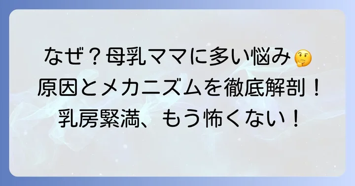 なぜ乳房緊満は起こるのか?主な原因とメカニズム