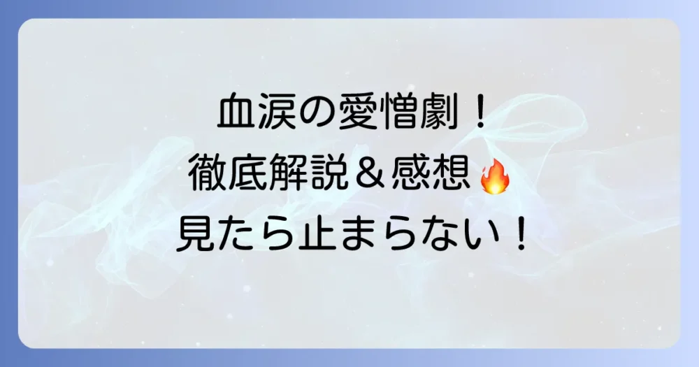 血も涙もなく韓国ドラマの感想を徹底解説！ドロドロ愛憎劇の魅力と見どころ