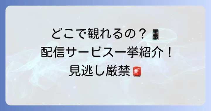 「血も涙もなく」を観るには？配信サービスと視聴方法