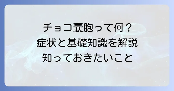 チョコレート嚢胞とは?その基礎知識と症状