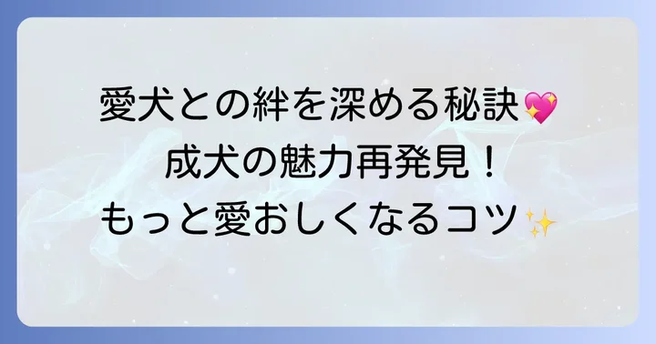 チワックス成犬をもっと愛おしく感じるためのコツ
