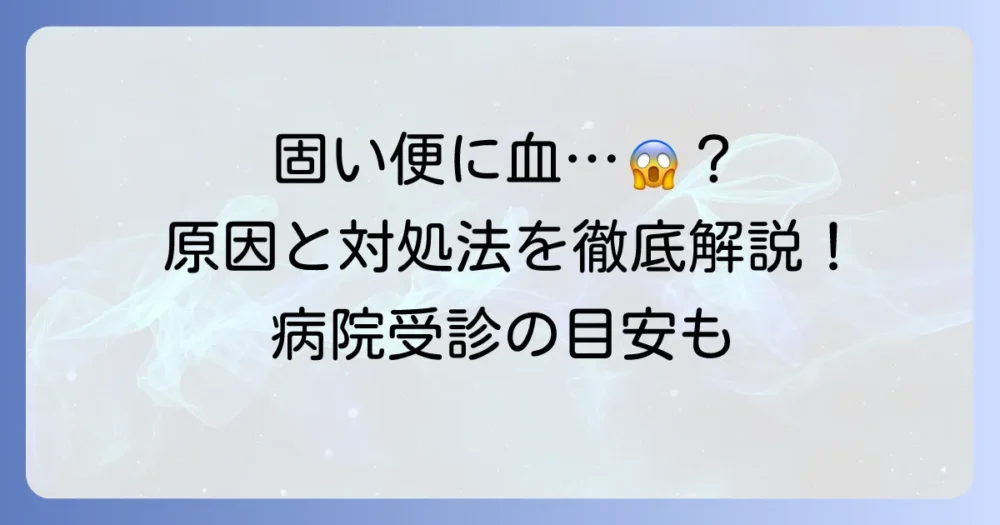 固い便に血が混じる原因と対処法を徹底解説！病院受診の目安も紹介