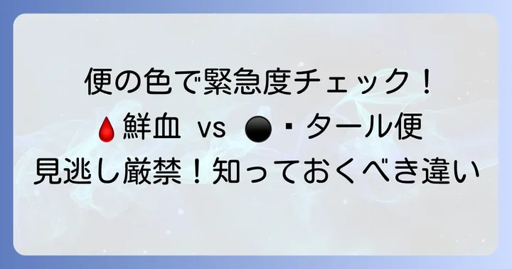 血の色でわかる！鮮血と暗赤色の違い
