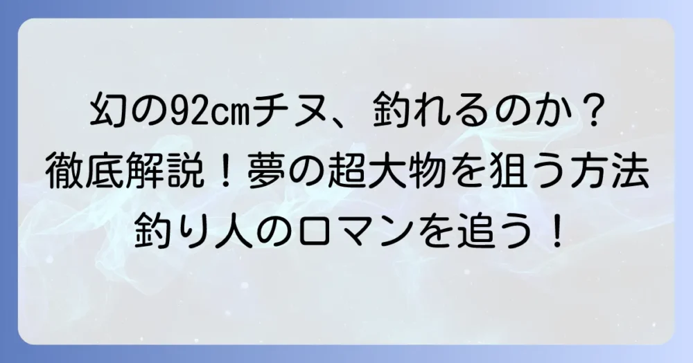 チヌ92cmは幻か？夢の超大物を狙う釣り方と記録を徹底解説