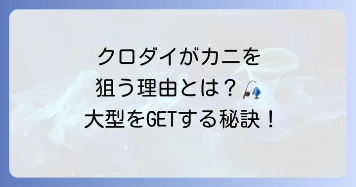 クロダイカニ仕掛けの魅力とは？なぜカニ餌が効くのか