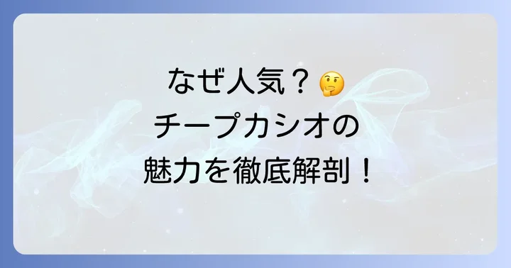 ドンキチープカシオが人気の理由とは?その魅力に迫る