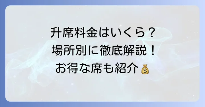 【最新版】相撲升席の値段を徹底比較！場所ごとの料金相場