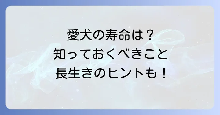 愛らしいロングコートチワワの平均寿命を知ろう