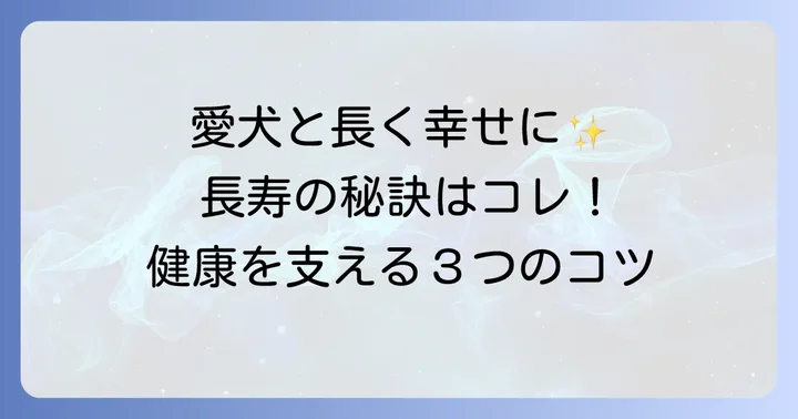 愛犬ロングコートチワワを長生きさせるための具体的なコツ