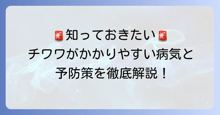 ロングコートチワワがかかりやすい主な病気と予防策