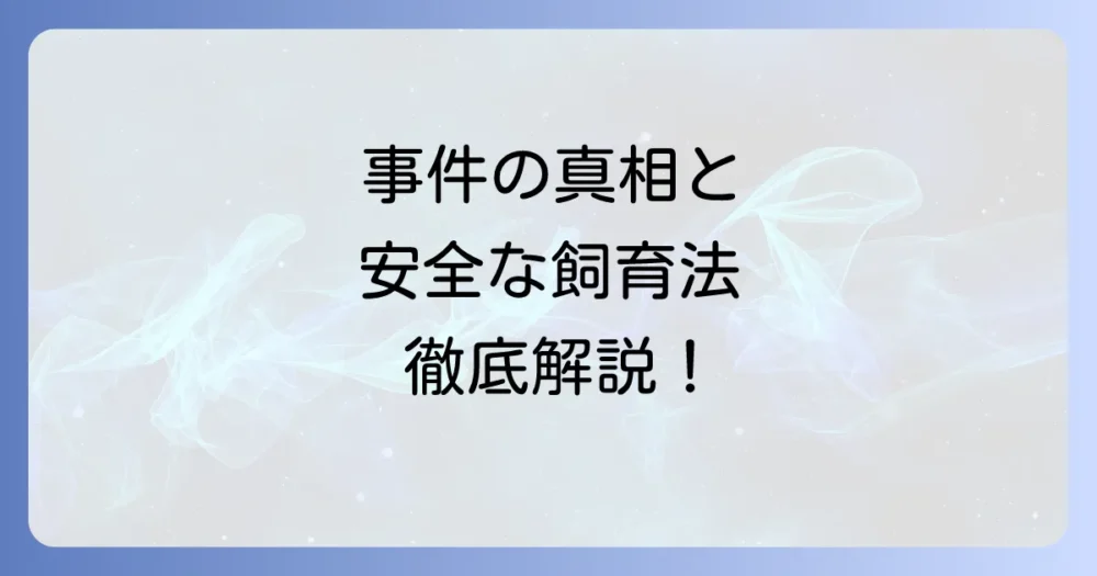 チベタンマスティフ事件の真相と安全な飼育方法を徹底解説