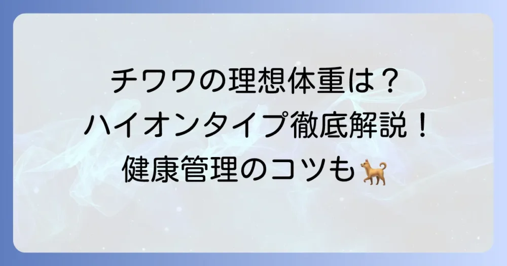 チワワのハイオンタイプは体重何キロ？特徴と健康的な体重管理のコツを徹底解説