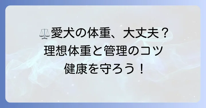 ハイオンタイプチワワの体重管理のコツ