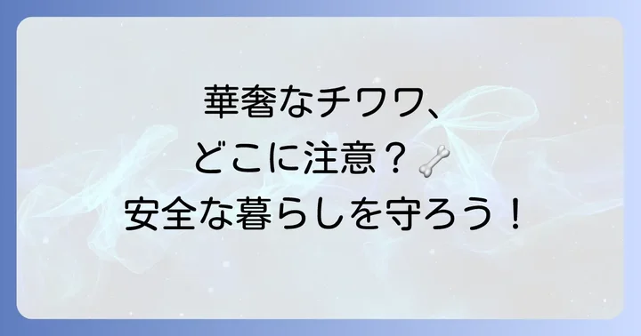 ハイオンタイプチワワを飼う上での特別な配慮