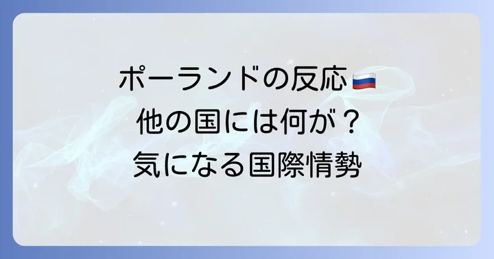 その他の主要な国際問題へのポーランドの反応