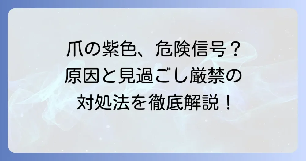 爪の根元が紫色でチアノーゼの可能性？原因と対処法を徹底解説