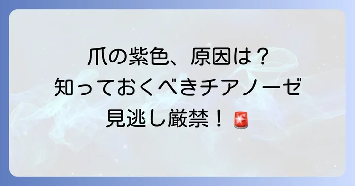 爪根元が紫色になる主な原因とチアノーゼの種類