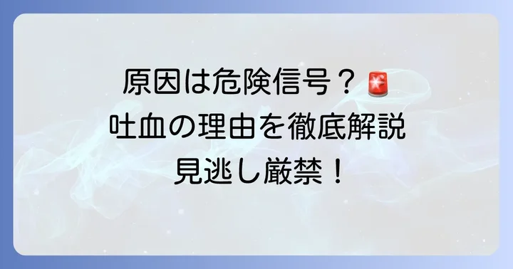 飲酒後の嘔吐に血が混じるのはなぜ?考えられる主な原因