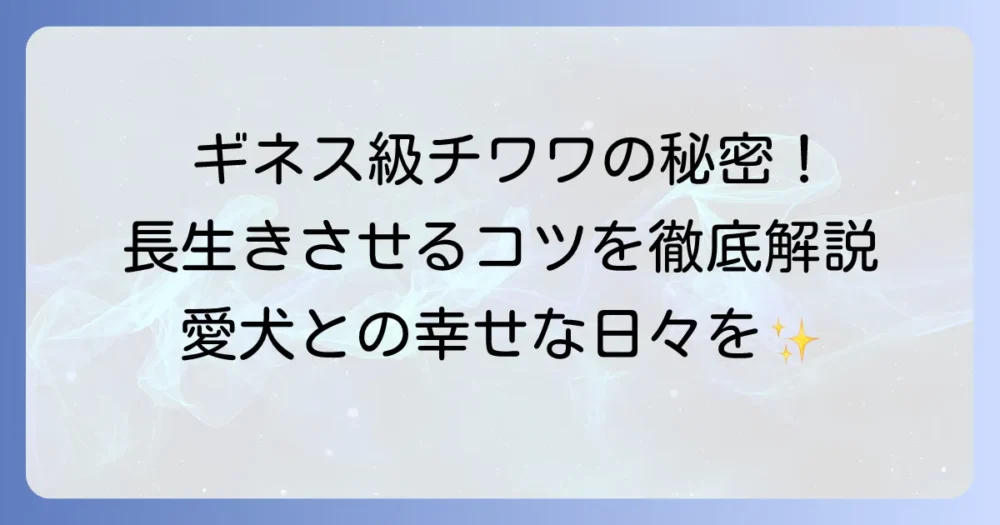 チワワの寿命ギネス記録は何歳?愛犬を長生きさせる秘訣と平均寿命を徹底解説