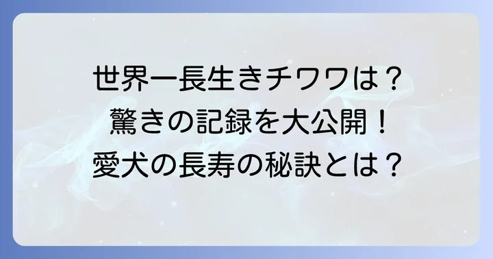 チワワの寿命ギネス記録は何歳?驚きの長寿犬たち